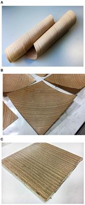Thermo-Mechanical Behavior of Novel Wood Laminae-Thermoplastic Starch Biodegradable Composites With Thermal Energy Storage/Release Capability